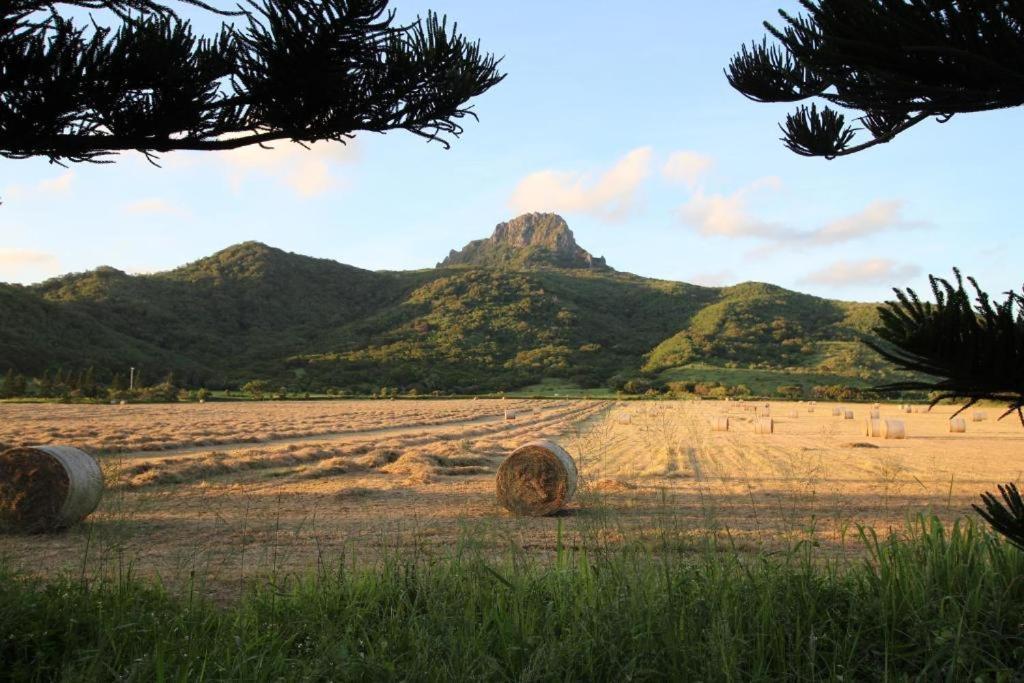 Island On The Sea Apartment Kenting Luaran gambar